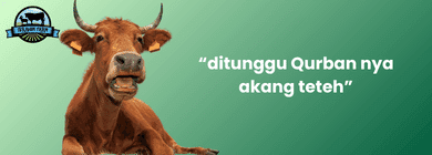Tabungan Qurban
